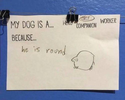 Picdump