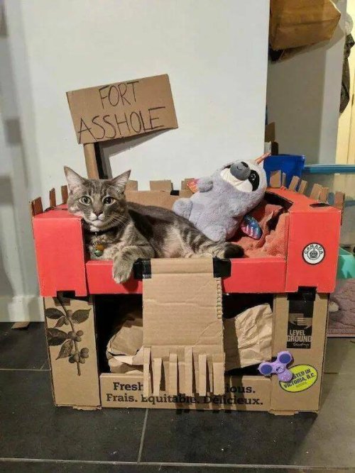Picdump