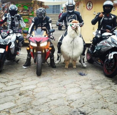 Picdump