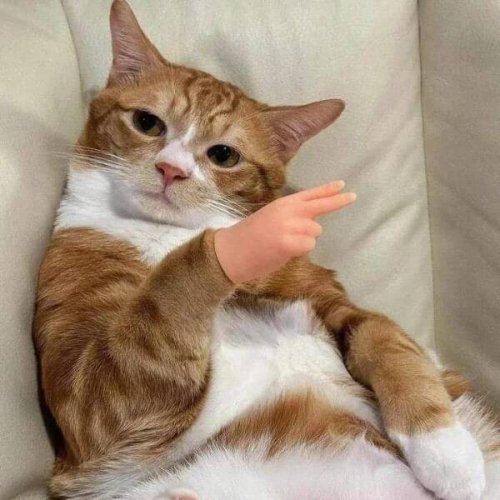 Picdump