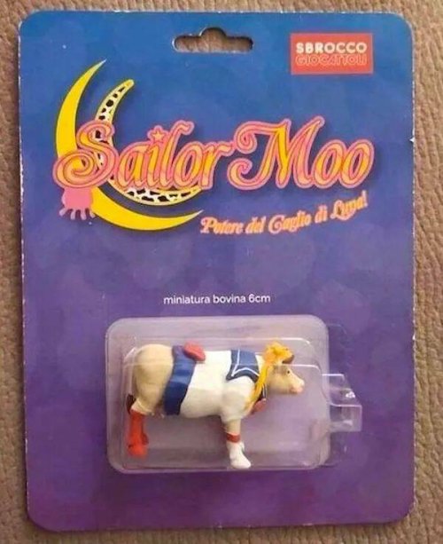 Picdump