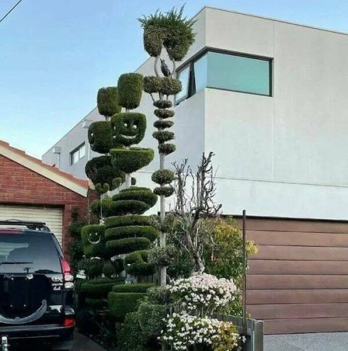 Picdump