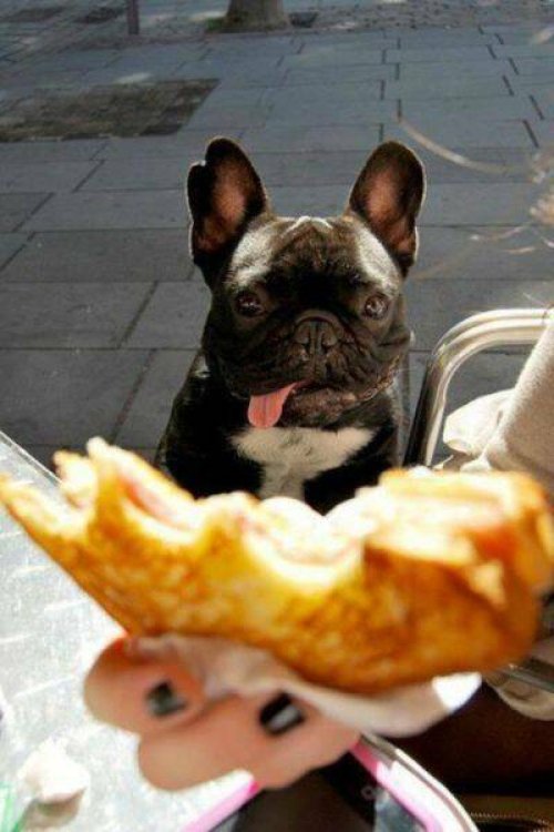 Picdump