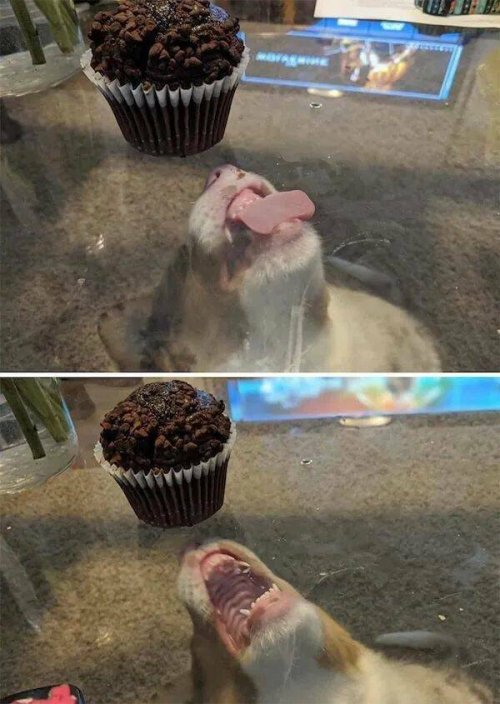 Picdump