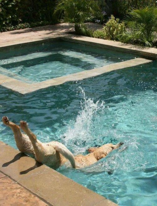 Picdump