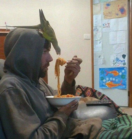 Picdump