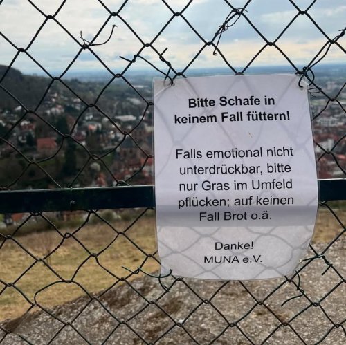 Picdump