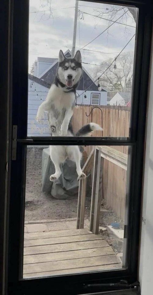 Picdump