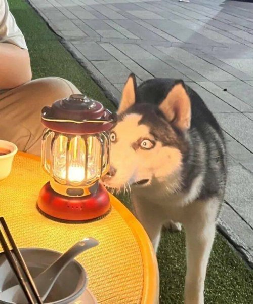 Picdump