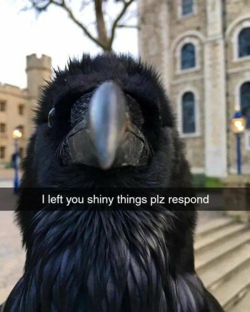 Picdump