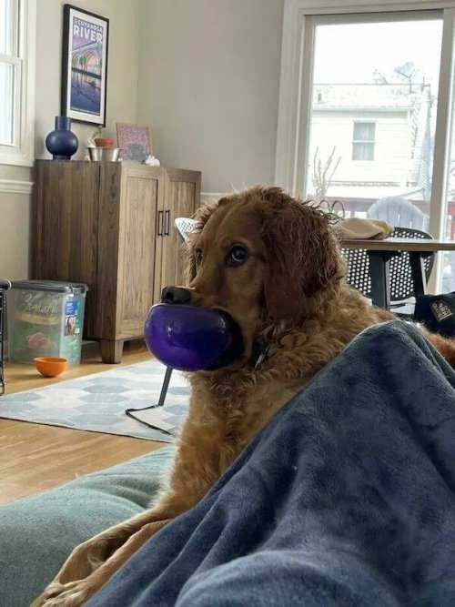 Picdump