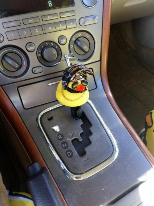 Picdump