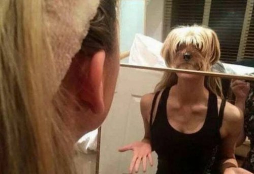 Picdump