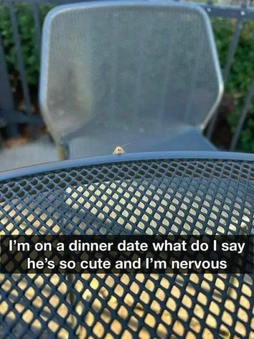 Picdump
