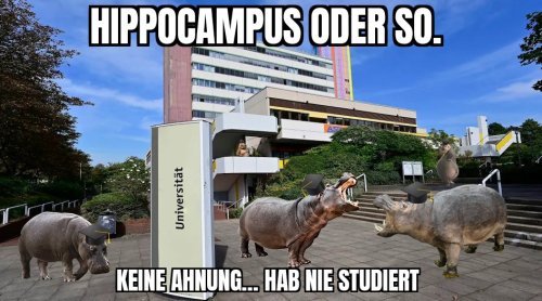 Picdump