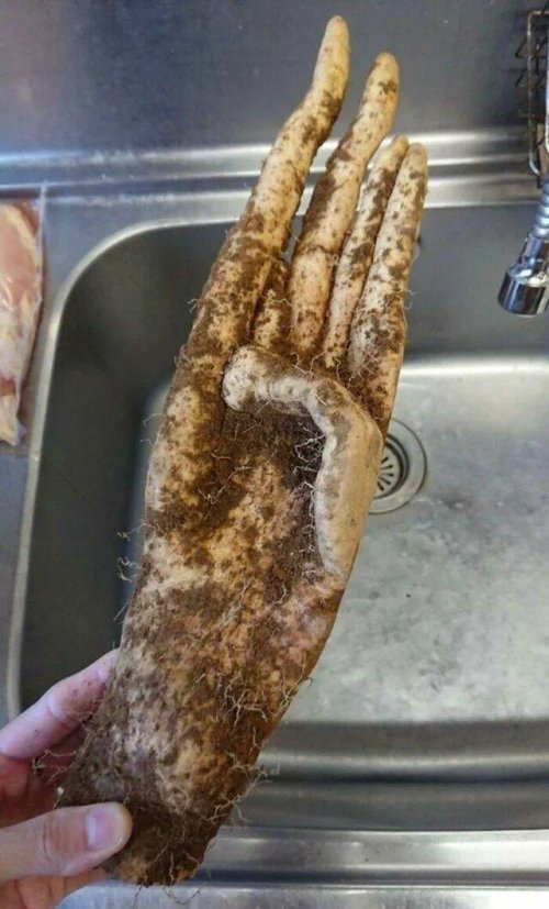 Picdump
