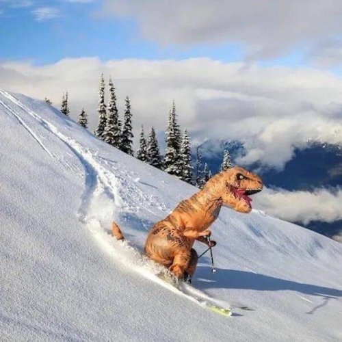 Picdump