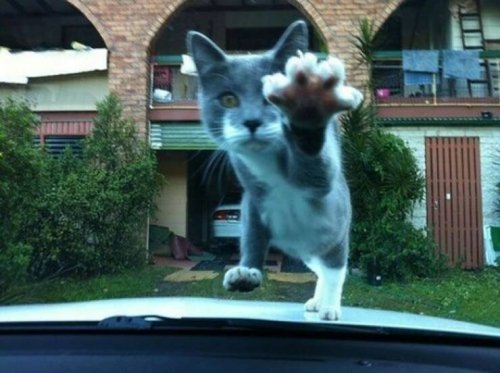 Picdump