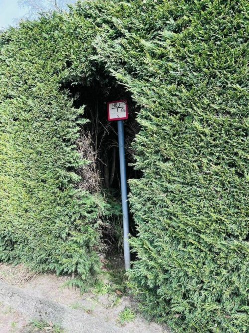 Picdump