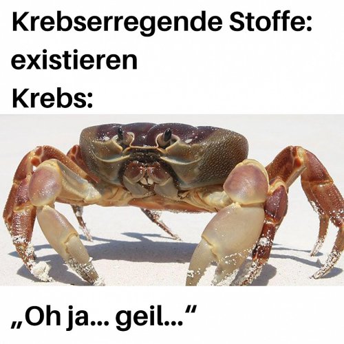 Picdump